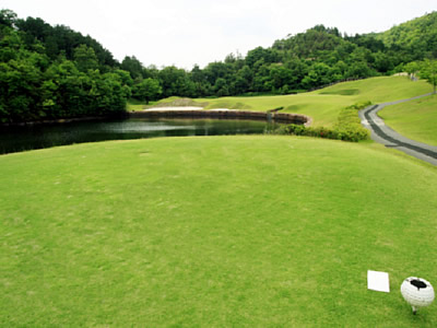 TOSHIN Golf Club  Central Course（旧富加ＣＣ）画像2